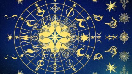 Stier: Finanzhoroskop für Stier